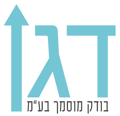 בודק מוסמך למתקני הרמה